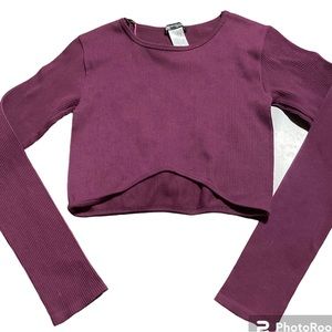 Zara‎ Women's Top M Purple Nylon with Elastane Long Sleeve Round Neck Cropped